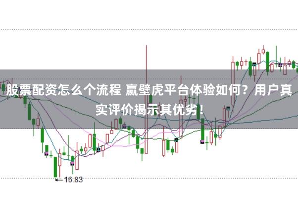 股票配资怎么个流程 赢壁虎平台体验如何？用户真实评价揭示其优劣！