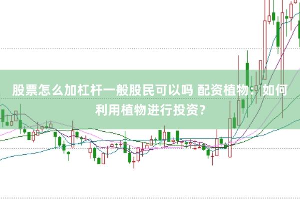股票怎么加杠杆一般股民可以吗 配资植物：如何利用植物进行投资？