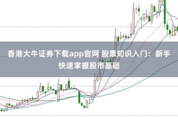 香港大牛证券下载app官网 股票知识入门：新手快速掌握股市基础