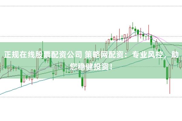 正规在线股票配资公司 策略网配资：专业风控，助您稳健投资！