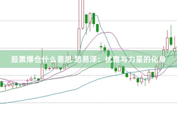 股票爆仓什么意思 路易泽：优雅与力量的化身