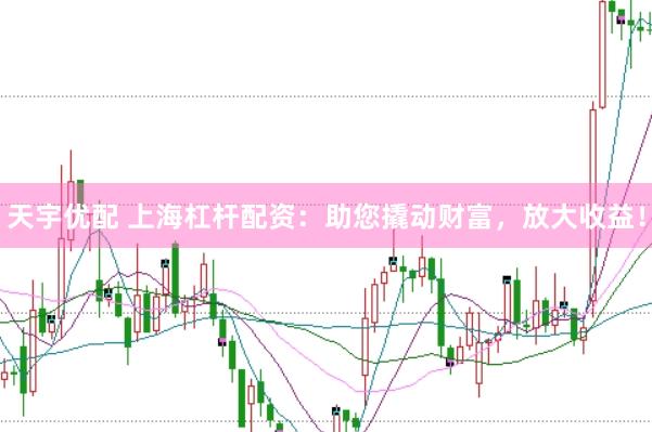 天宇优配 上海杠杆配资：助您撬动财富，放大收益！