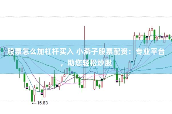 股票怎么加杠杆买入 小燕子股票配资：专业平台，助您轻松炒股