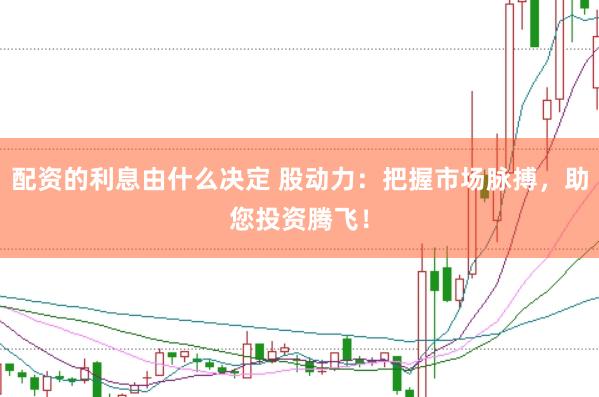 配资的利息由什么决定 股动力：把握市场脉搏，助您投资腾飞！
