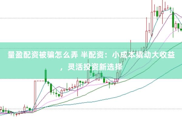 量盈配资被骗怎么弄 半配资：小成本撬动大收益，灵活投资新选择