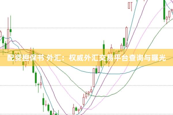 配资担保书 外汇：权威外汇交易平台查询与曝光