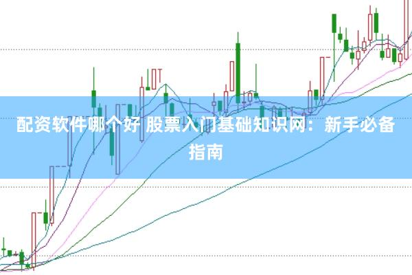 配资软件哪个好 股票入门基础知识网：新手必备指南