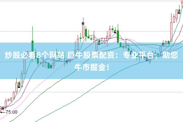 炒股必看8个网站 巨牛股票配资：专业平台，助您牛市掘金！