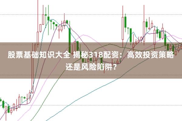 股票基础知识大全 揭秘318配资：高效投资策略还是风险陷阱？