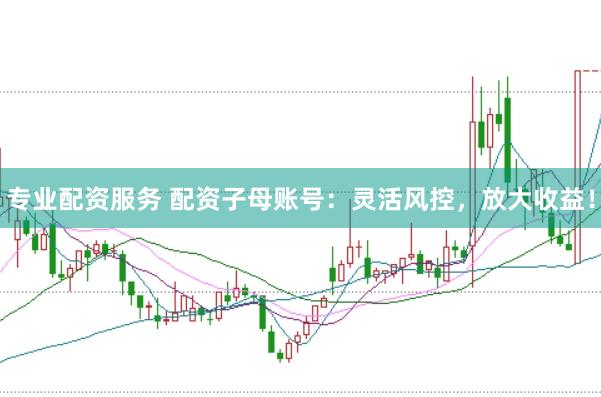专业配资服务 配资子母账号:灵活风控,放大收益!