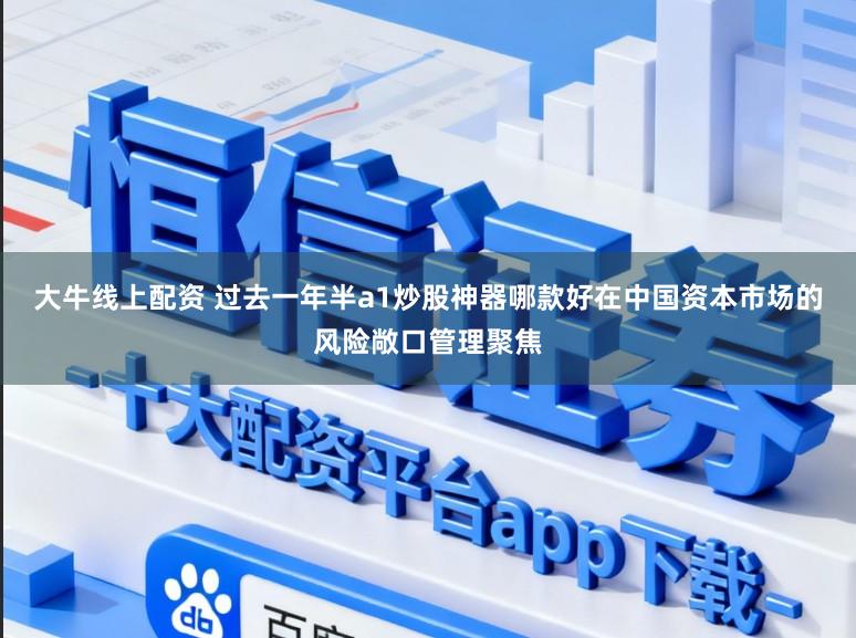 大牛线上配资 过去一年半a1炒股神器哪款好在中国资本市场的风险敞口管理聚焦