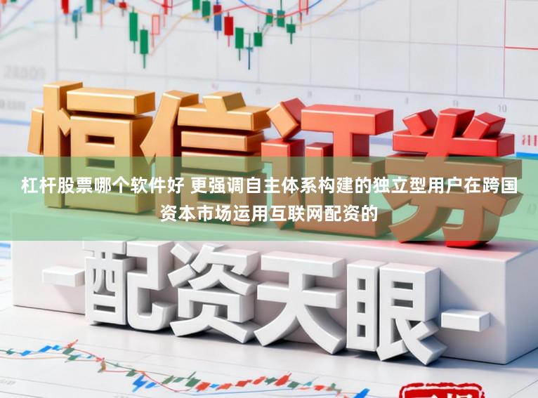 杠杆股票哪个软件好 更强调自主体系构建的独立型用户在跨国资本市场运用互联网配资的