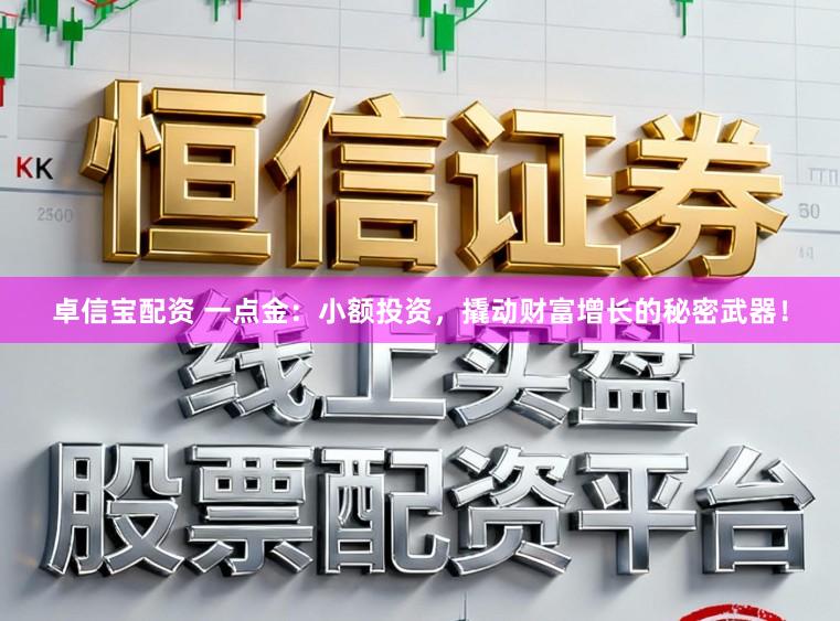卓信宝配资 一点金：小额投资，撬动财富增长的秘密武器！